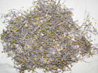 004.005 004 005 0.01 Monolithic Capacitors Avx And Other Large Capacitor Lot Mono Ceramic Others Diy Ic Pcb Electronic Part