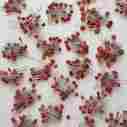 1pf-100nf Ltvystore 1000pcs 50 Values Ceramic Capacitor Assorted Kit Assortment Set 717630864277