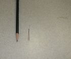 H516sp60a20205 Sensor Scientific Thermistor Ohms