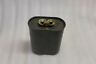 H94r4824e Aerovox Capacitor