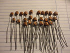 S3n50k1kv Unbranded Ceramic Capacitor