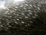 Sfa331f63 Evox Polystyrene Audio Capacitors Pieces
