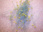 Sr151a220jaa Avx Qty 150 22pf