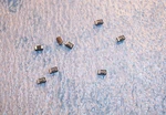 Qty (100) 4.7UF 10V 10% Case Smd Tantalum Capacitors F931A475KAAST Nichicon. Fixed Price $5.99.