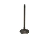 Hyosung United Motors Atk Exhaust Valve GT250R GV250. Fixed Price $38.95.