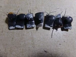 New Zenith A-8329 Capacitor Kit *free Shipping*. Fixed Price $9.99.