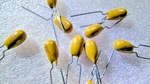 47UF, 16V, 10% Nemco Solid Tantalum Dip Radial Capacitors Qty Pieces Usa Nos. Fixed Price $14.95.