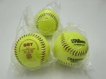 Lot Brand New Softball Wilson Champion Series Sst 12 Nfhs A913 In Plastic. Fixed Price $19.99.
